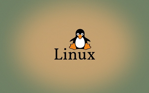 Linux常用的命令有哪些呢?